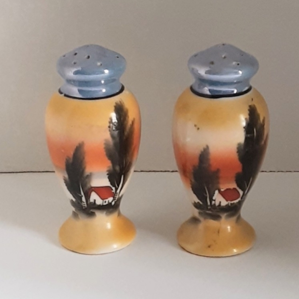 Antique Salt & Pepper Shakers Hand Painted Porcelain Made in Japan Vintage Boho